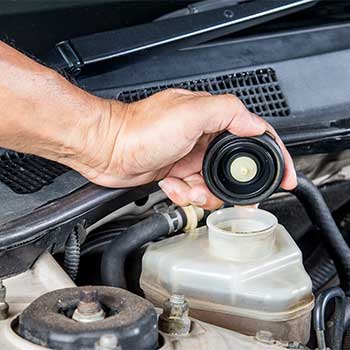 Fluid Services