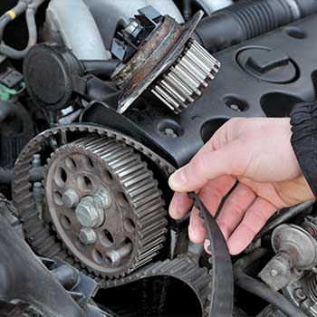Timing Belts