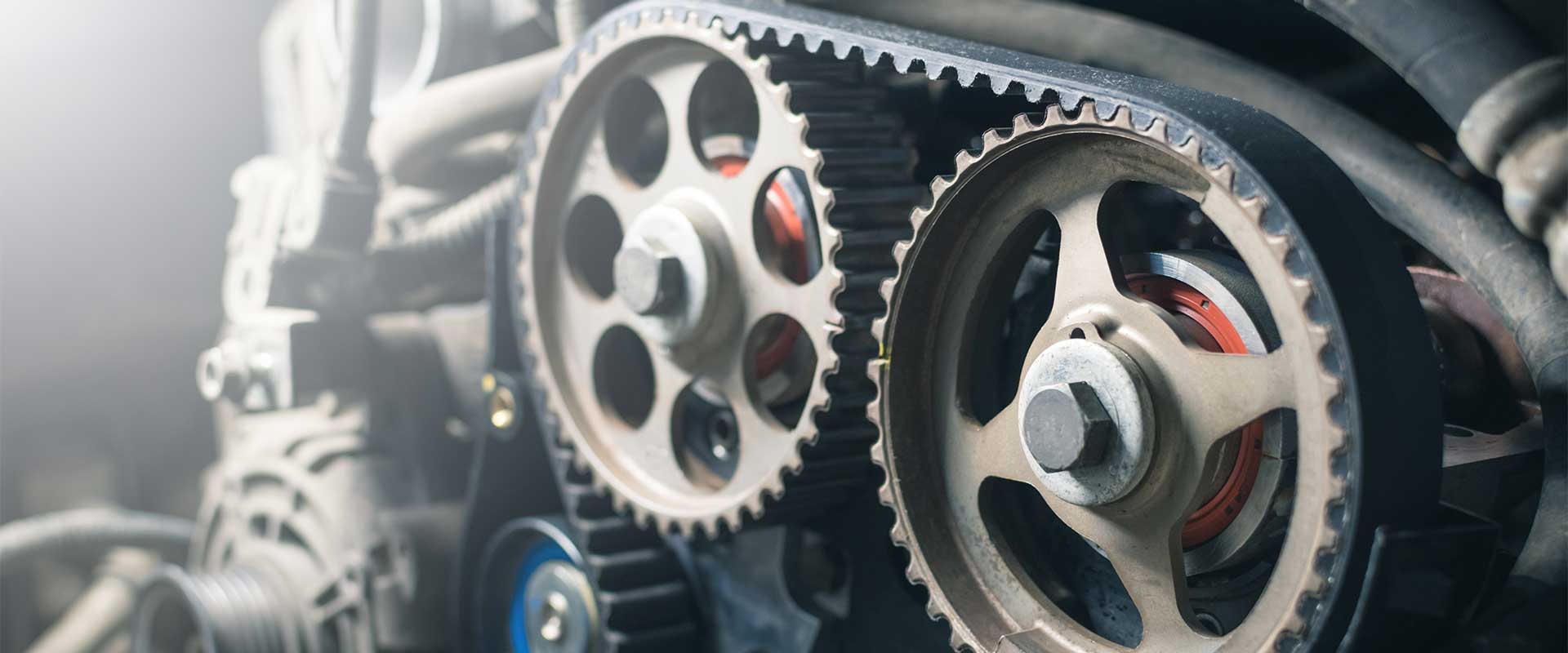 Timing Belts near Maryland